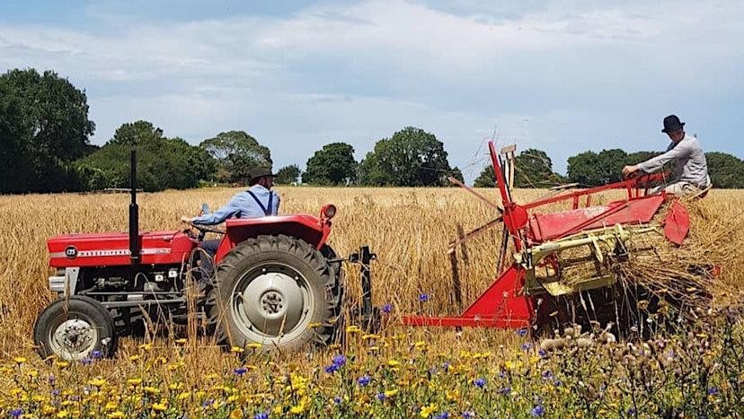 Fireside Feasts and Future Farming: Regen Gathering 2026