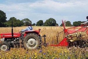 Fireside Feasts and Future Farming: Regen Gathering 2026