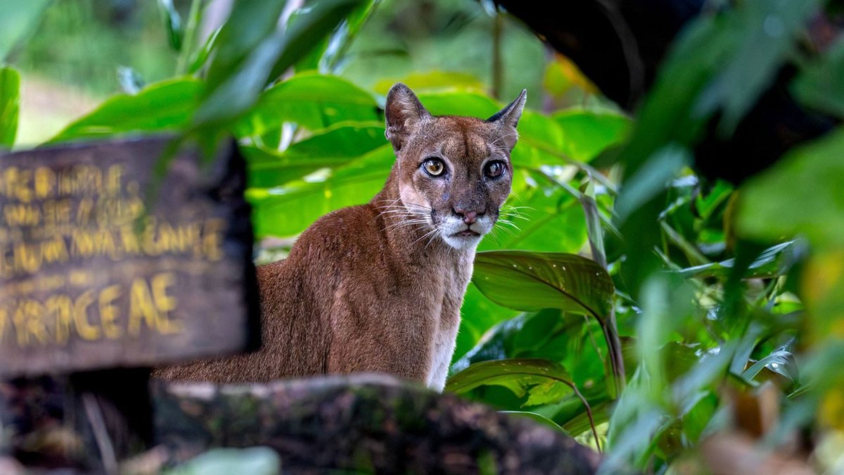 Into the Garden of Eden: Exploration in Costa Rica
