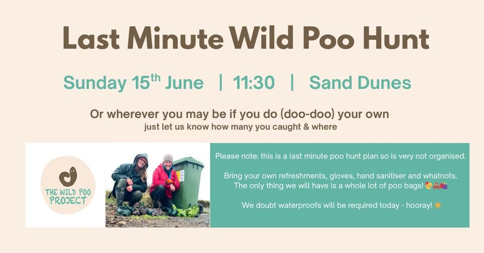 Last Minute Wild Poo Hunt