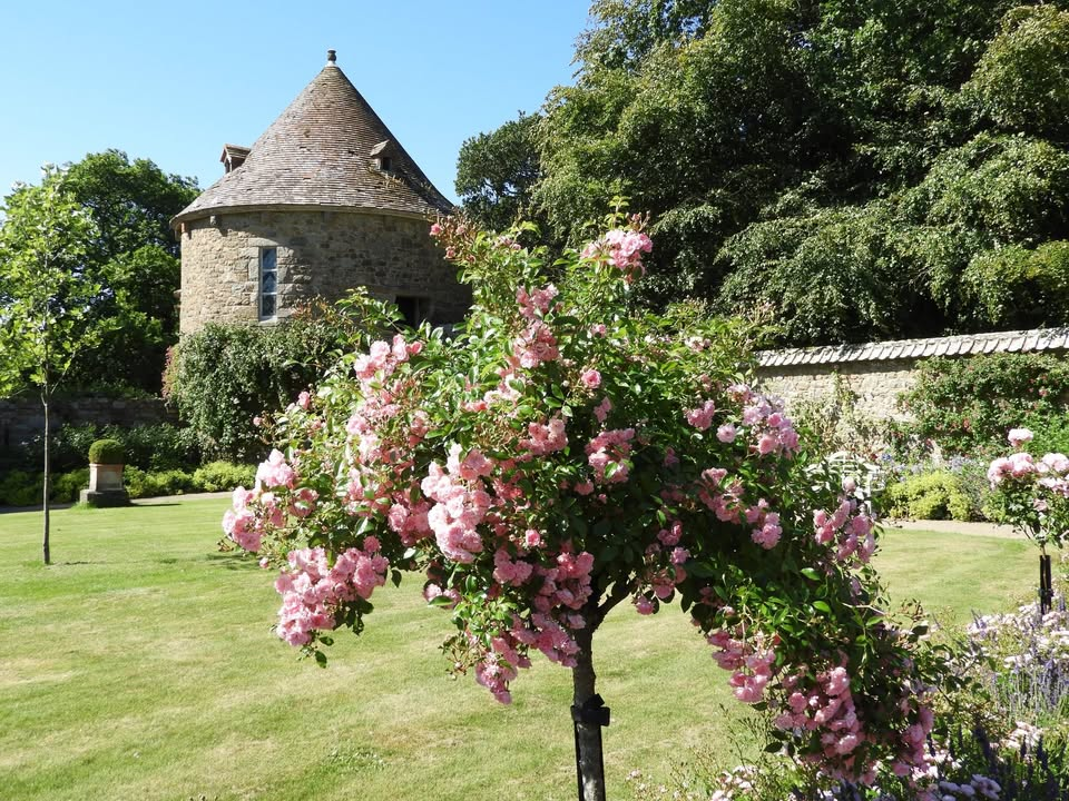 Open Garden - St Ouen's Manor, La Grande Route de St Ouen, JE2 2HR