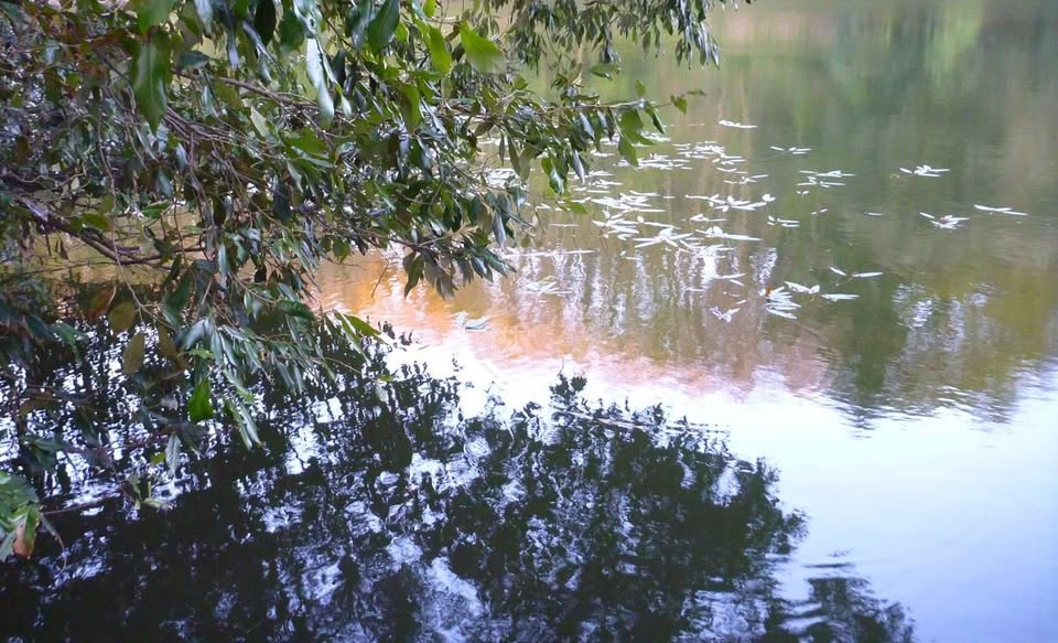 Jack A’ Court Trophy Match