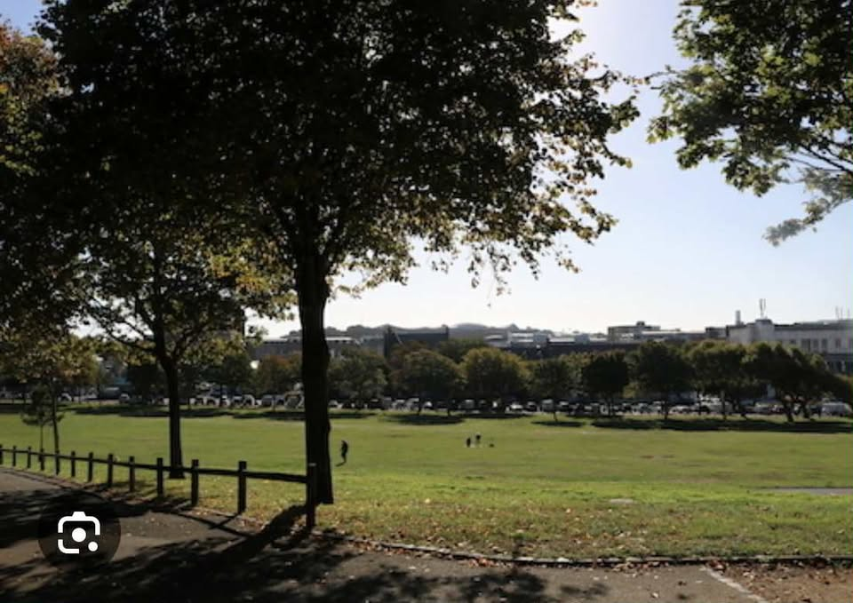 Painting on the Park