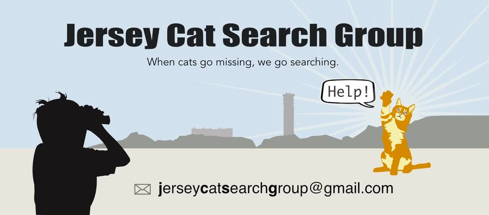 Fun family Bingo evening in aid of cat charities.