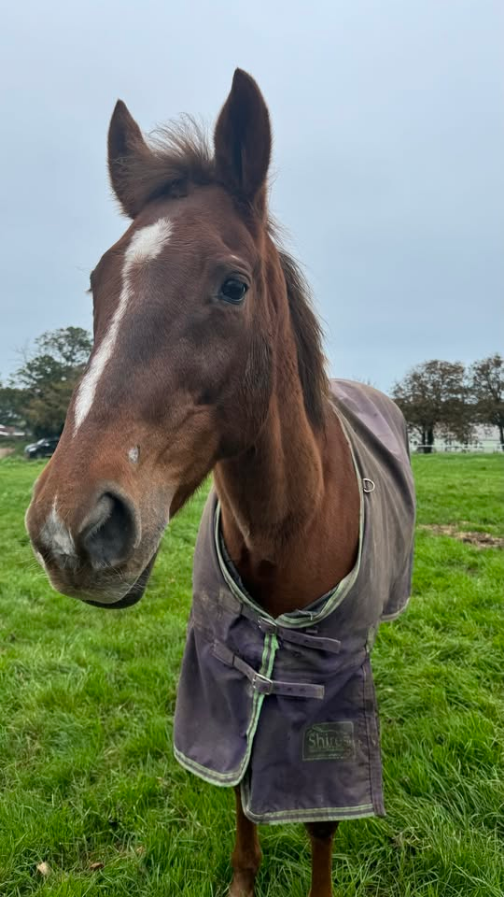 The holy trinity- St Lawrence/St Peter/ St Mary