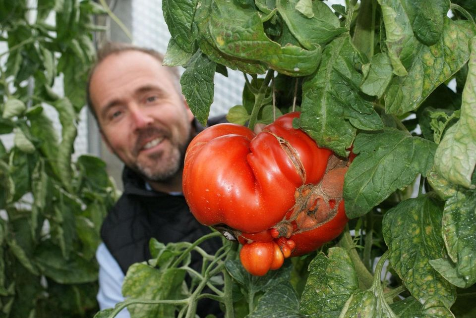 Giant Vegetable Talk
