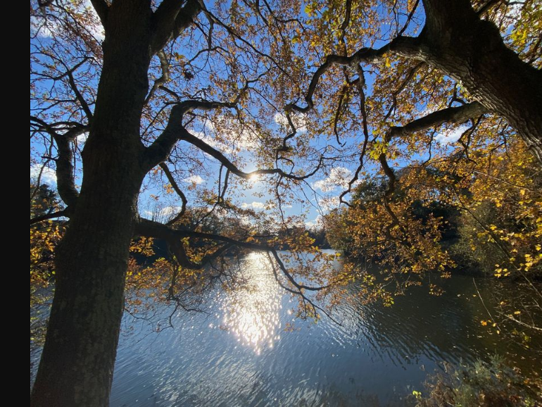 Wildlife & Wellness Walk - Queen's Valley reservoir