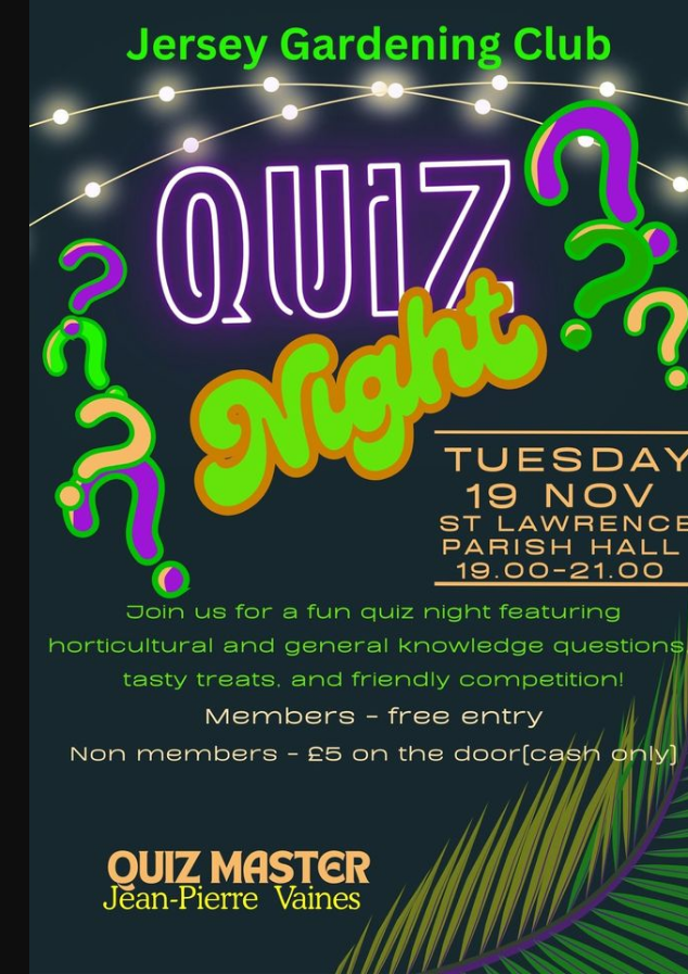 Quiz Night