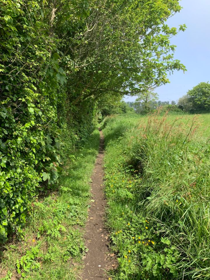 Sunday Stroll - Vallée de Rozel