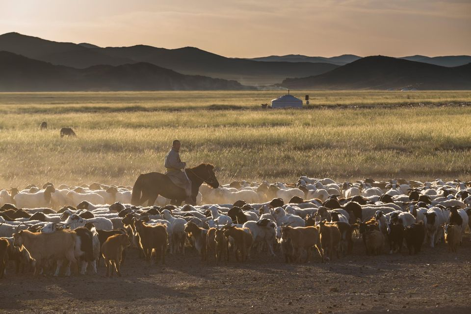 Cashmere & Pearls Store Opening!