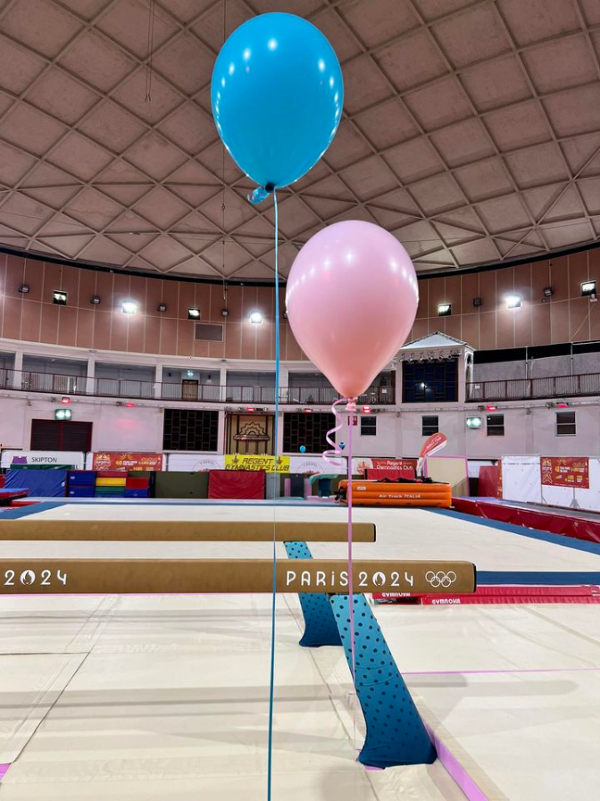 Adult Gymnastics