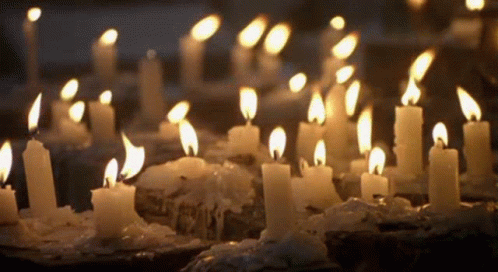 Carols by Candlelight 4pm