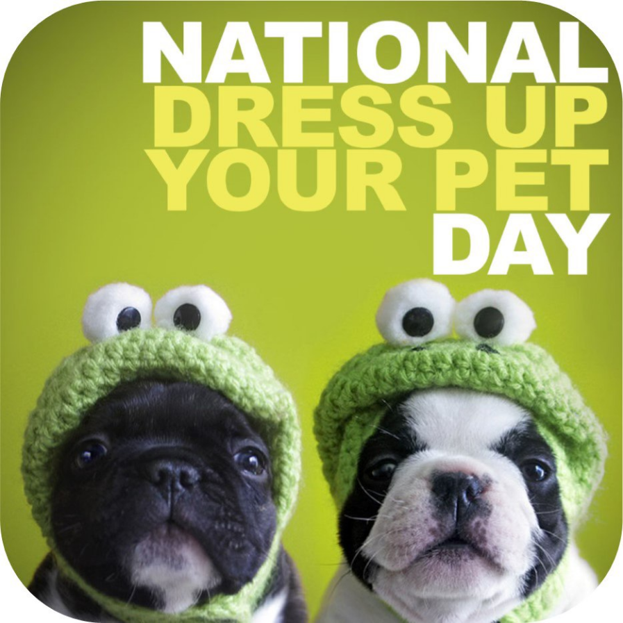 National Dress Up Your Pet Day Competition- FREE Event