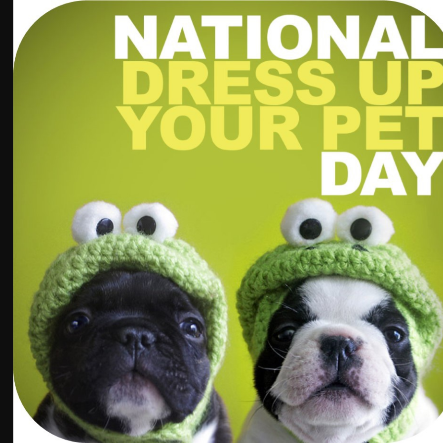 National Dress-up your Pet Day Competition - FREE Event