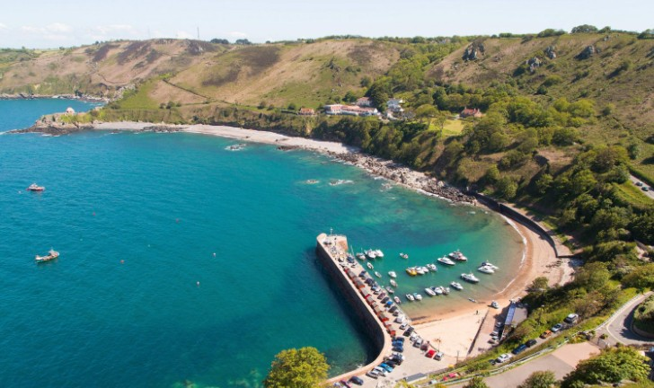 Lib80 Celebrations volunteer drop in event