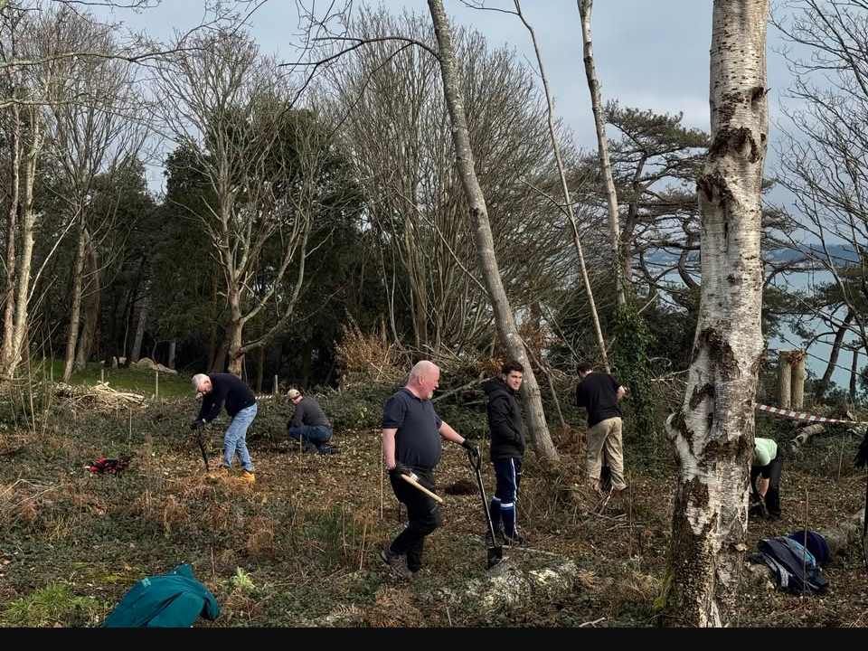 Noirmont tree planting for St Brelades parishioners