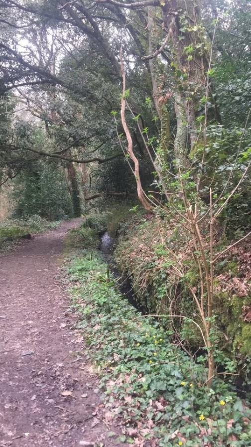 Sunday Stroll - St Peter’s Valley