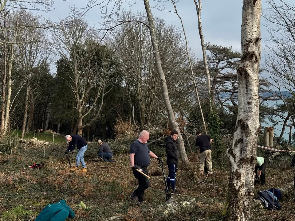 Tree planting at Noirmont SSI