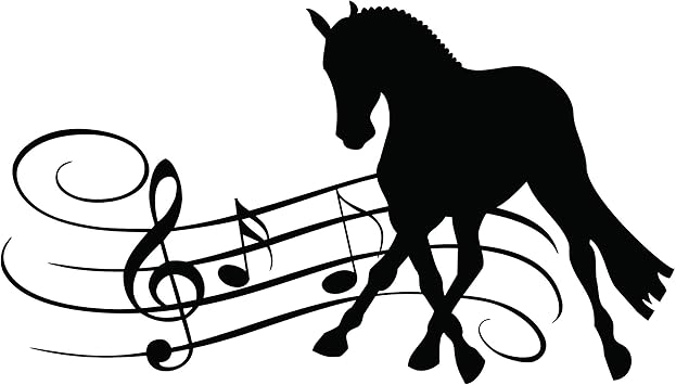 Equidance Freestyle Clinic at Haie Fleurie