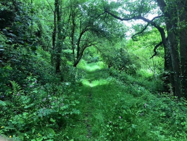 Sunday Stroll - St Mary’s & St John