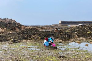 Rock pooling for all the family