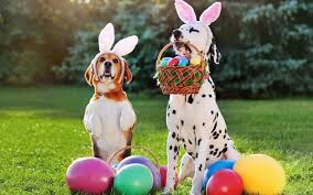 Easter Egg Hunt for Dogs and Children