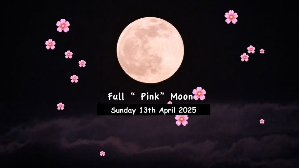 The Full "Pink"  Moon Rise