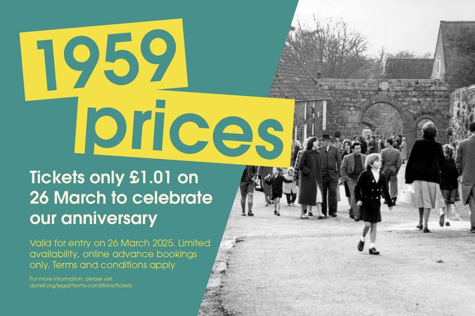 1959 prices at Jersey Zoo