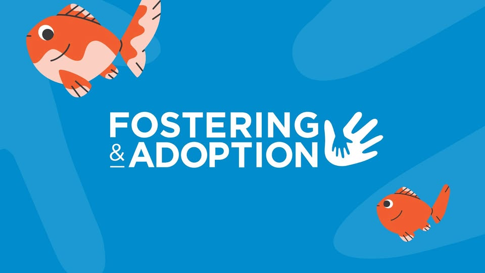 Foster Carer Recruitment Information Session