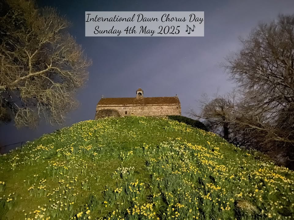 Dawn Chorus and Sunrise - La Hougue Bie