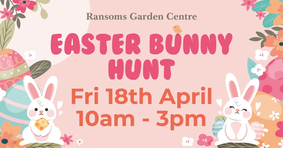 Ransoms Easter Bunny Hunt