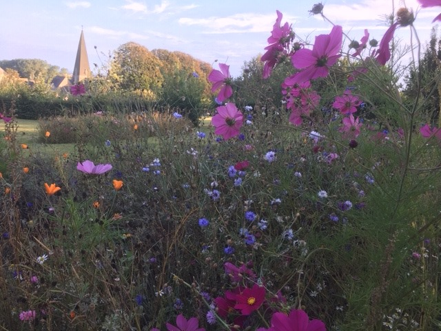 Good Friday Meadow Walk