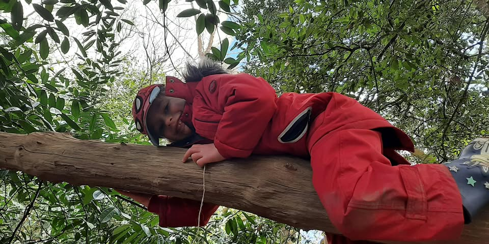 Woodland Capers: tree climbing and den-building