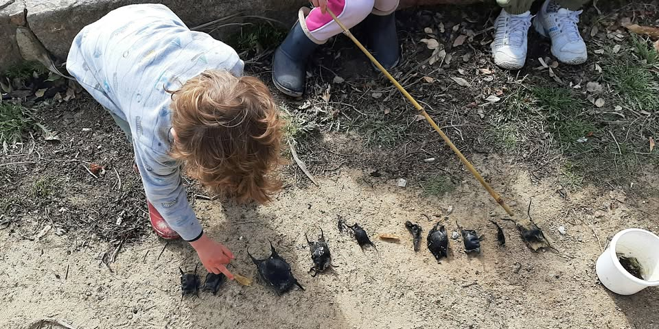 Easter (shark) egg hunt