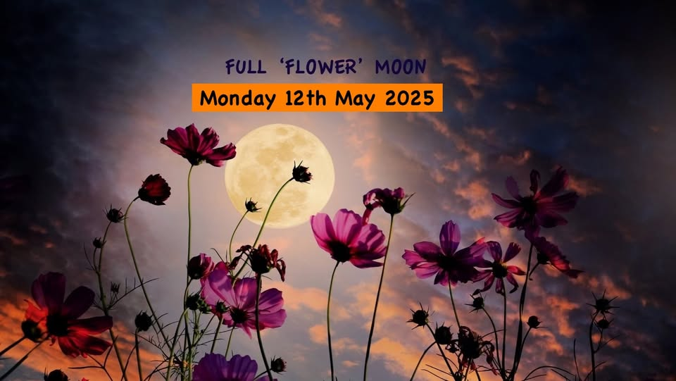 The Full 'Flower' Moon Rise