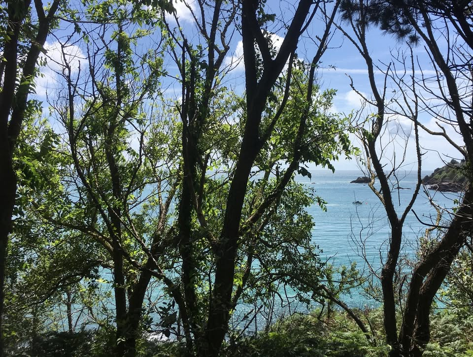 Wildlife & Wellness Walk - Anneport