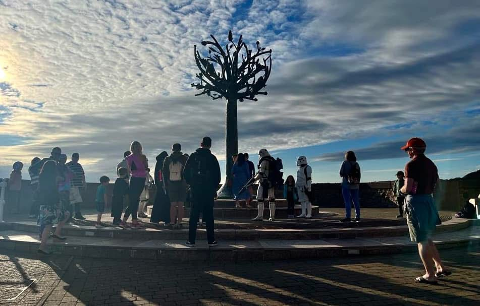 Star Wars Day Freedom Tree Photo - join us !