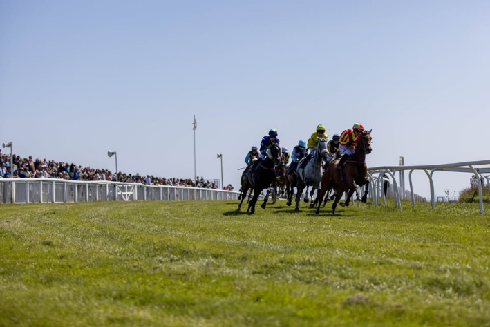 The Jersey Guineas