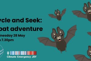 Cycle and seek: a bat adventure