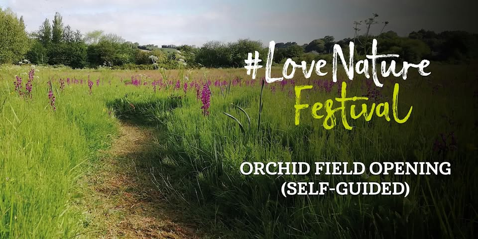 #LoveNature Festival: Orchid Field Opening (Self-Guided)