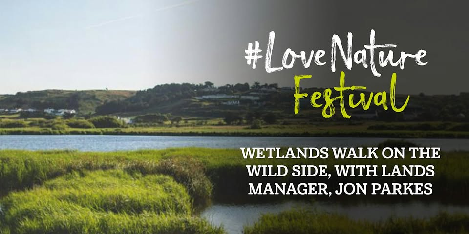 #LoveNature Festival: Wetlands Walk on the Wild Side