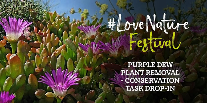 #LoveNature Festival: Purple Dew Plant removal - conservation task drop-in