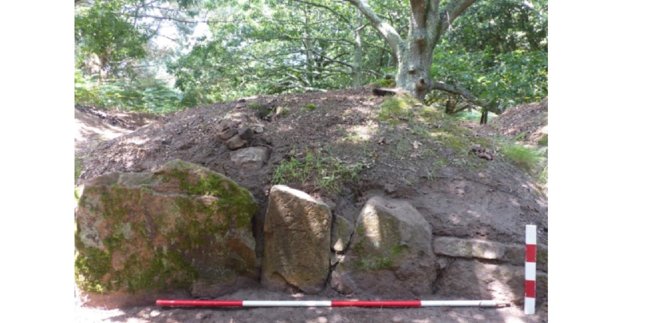 Discover the Hougue de Vinde (JICAS Summer School Excavation)