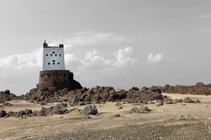 Seymour Tower - Intertidal Walk