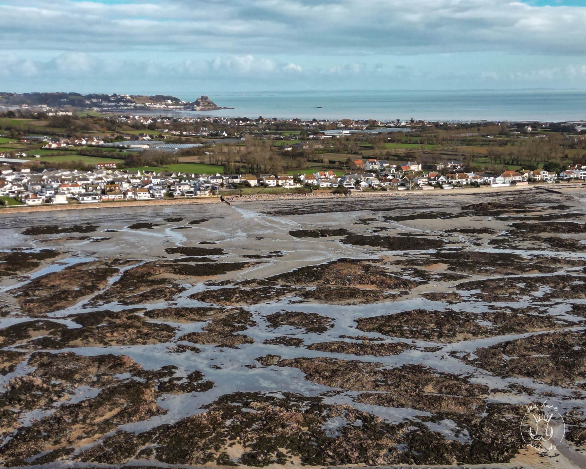 Bimble at Pontac -  Intertidal Walk