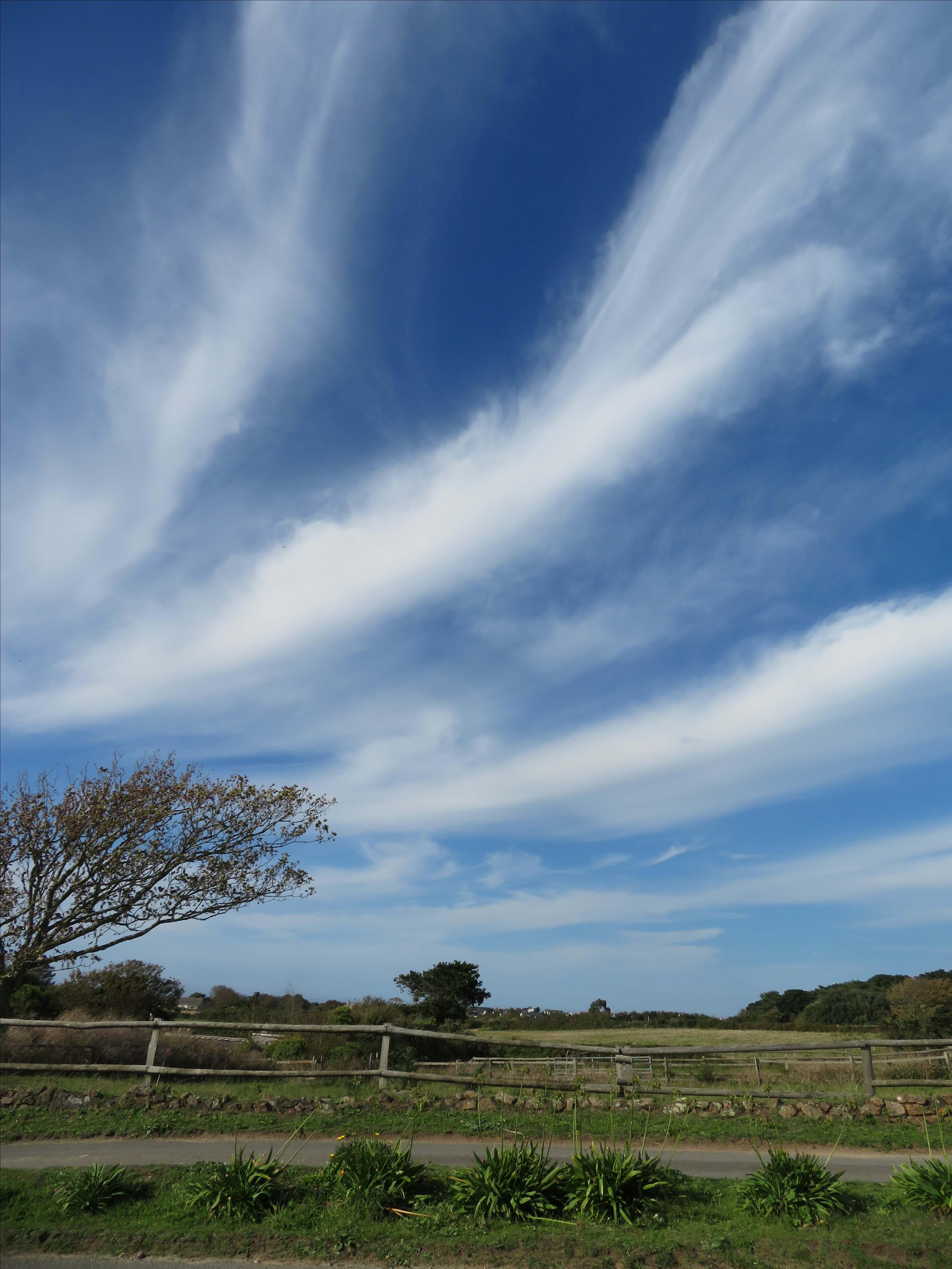 Meteorology Section Meetings