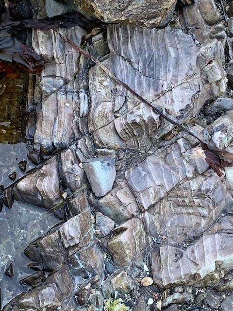 Geology Section Meeting