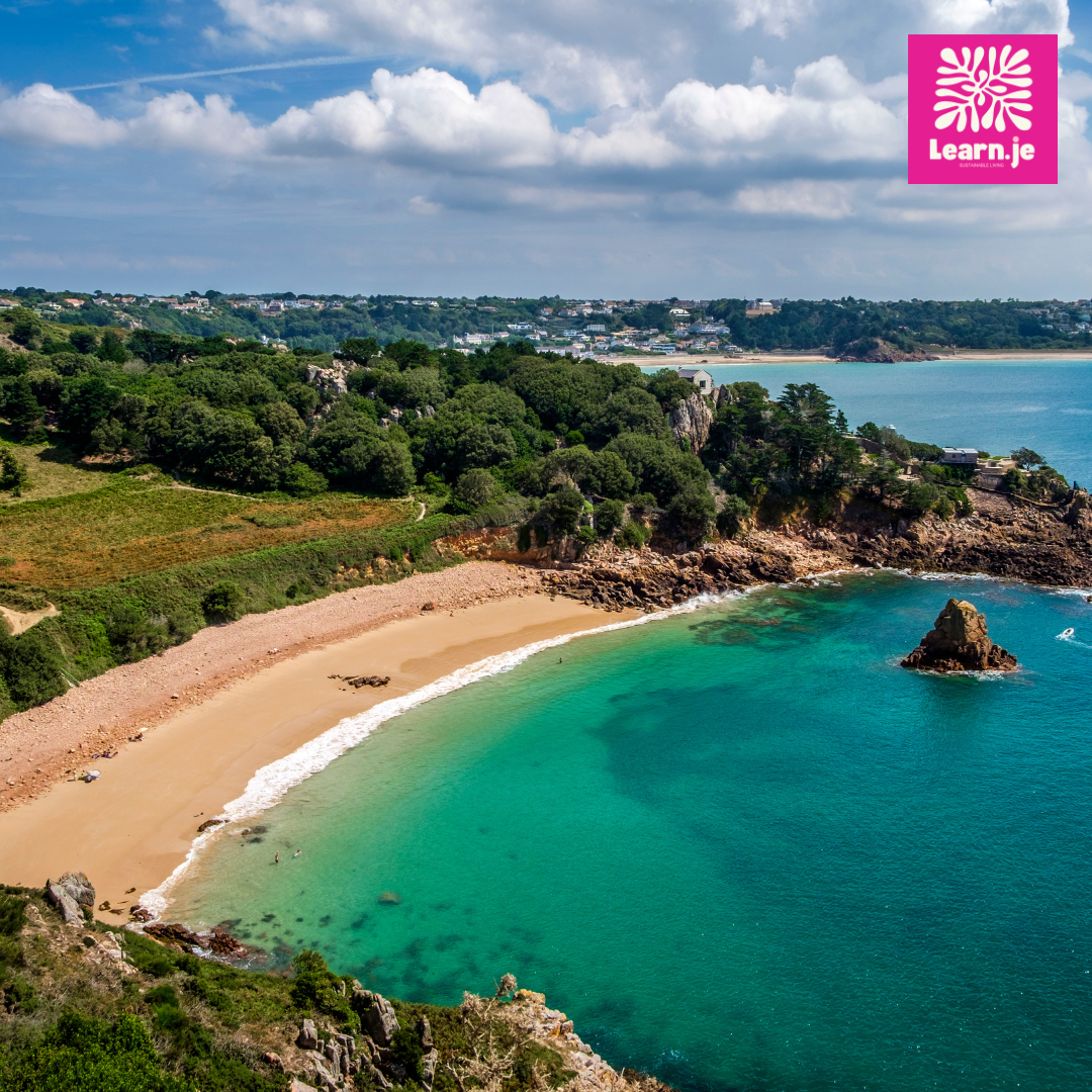 Freedom Bakes: Jersey Wonders & Doughnut Making