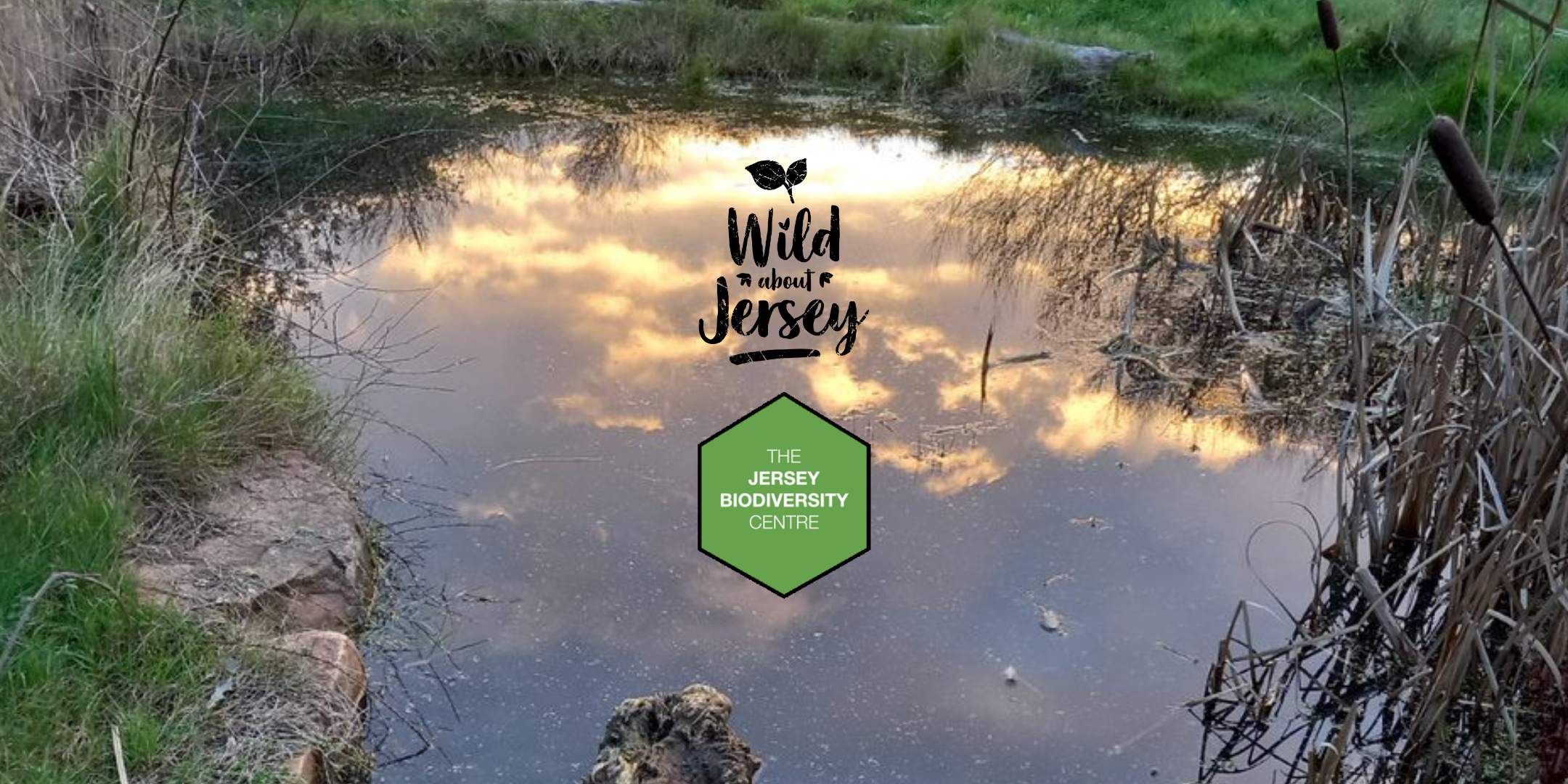 Pondwatch JE 2025 Training event