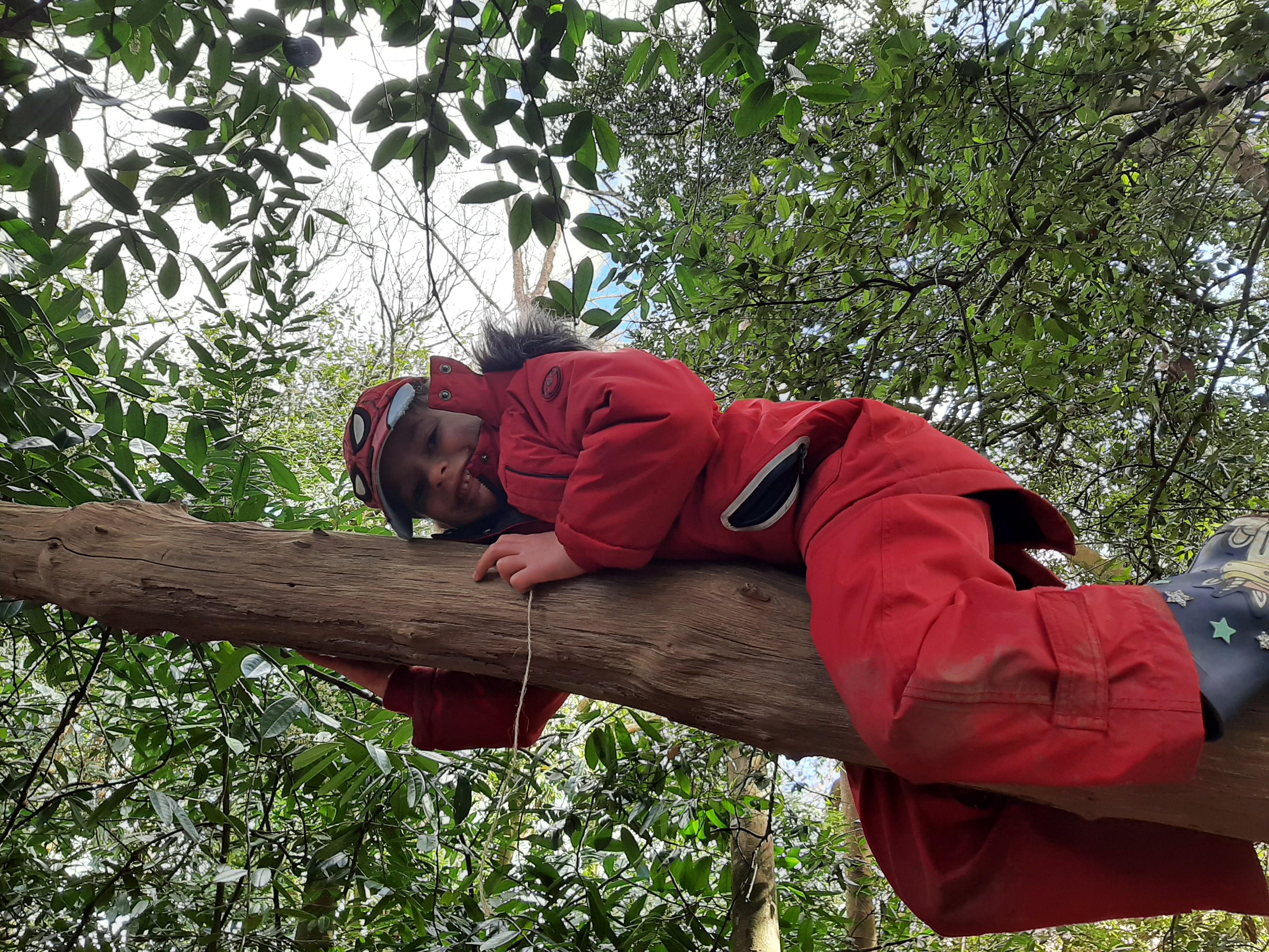 Woodland Capers: tree climbing and den-building